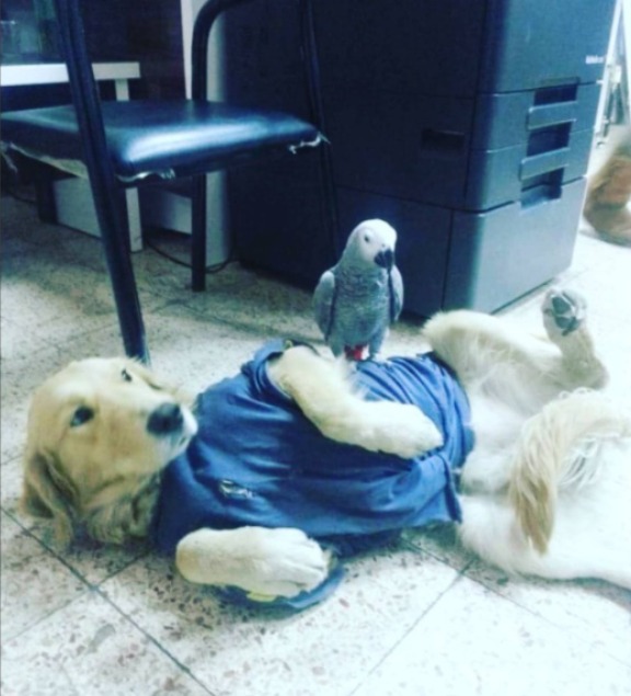 Tiyatro Sanat ilk tiyatroyla tanışmam